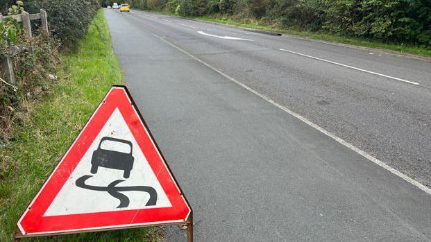 A road with a grass verge on either side. There is a road sign in the lower left of the image, a red triangular sign showing it is a slippy road. 