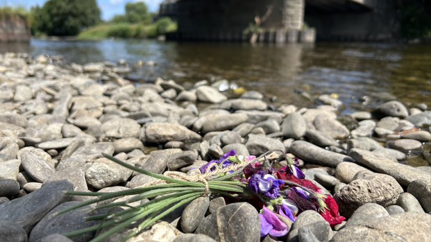 Blodau ar lan Afon Gwy