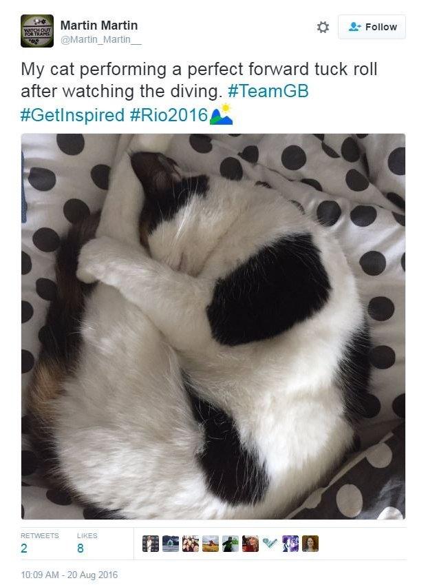 cat sleeping in in a position that looks like it could be diving