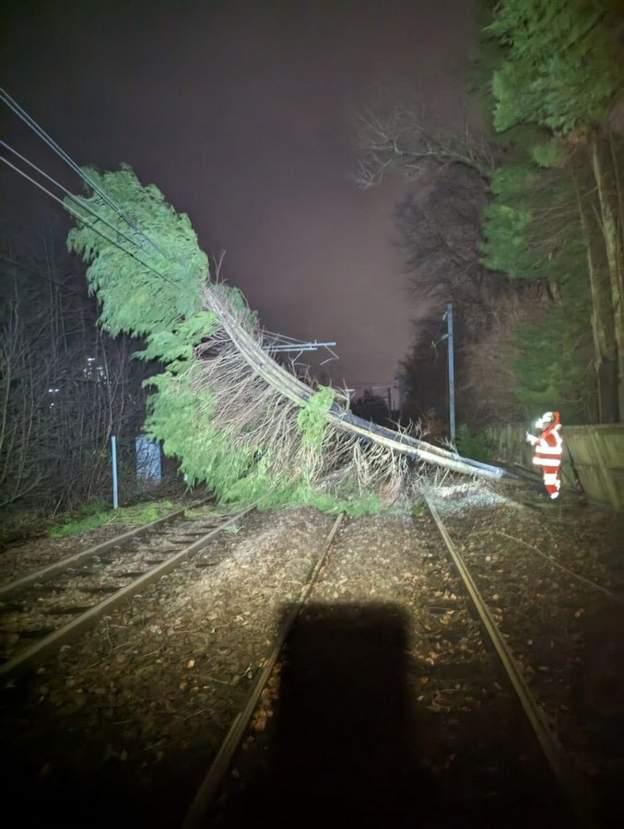 A fallen tree on the railway line at Gartcosh in North Lanarkshire