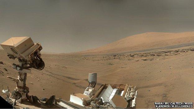 Curiosity selfie