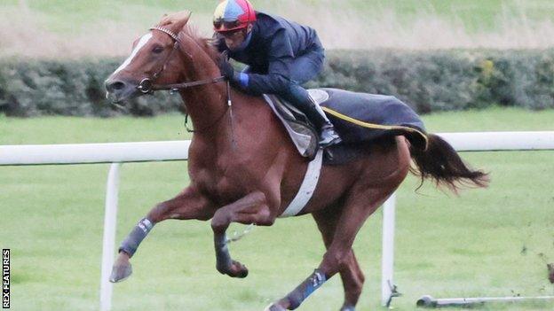 Frankie Dettori on Torquator Tasso