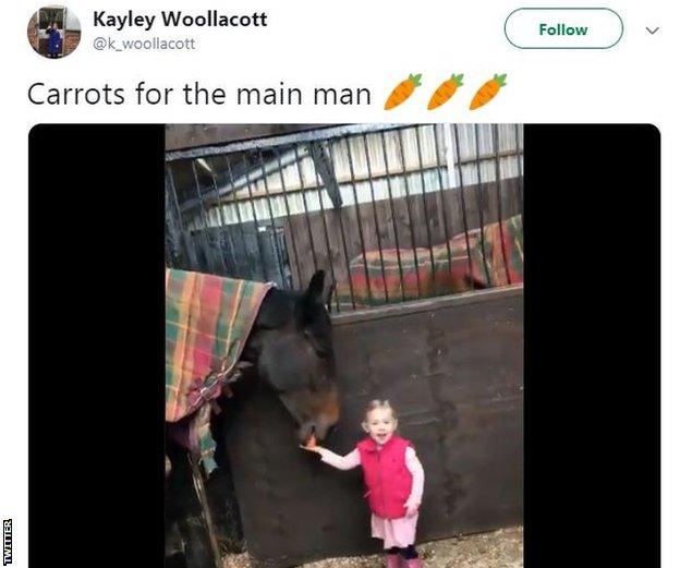 Video of Bella Woollacott feeding Lalor carrots on Twitter