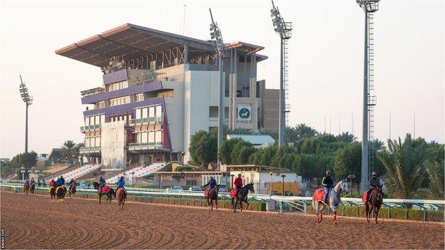 Horses exercising on the racetrack ahead of the Saudi Cup