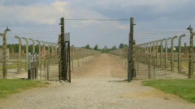 A big metal gate onto a path with barbed wire fencing on either side.
