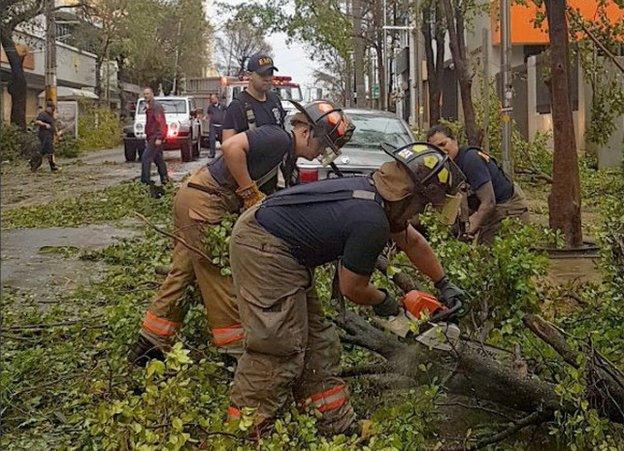 Workers clear damaged trees after Hurricane Maria in San Juan, Puerto Rico.