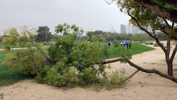 Several trees were brought down by high winds in the Gulf state