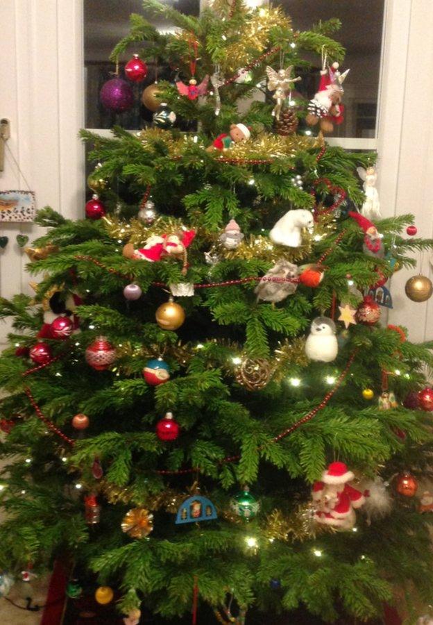 Rosie and Abbie have made their tree beautiful