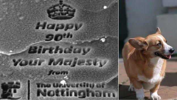 Queen's birthday message on corgi hair