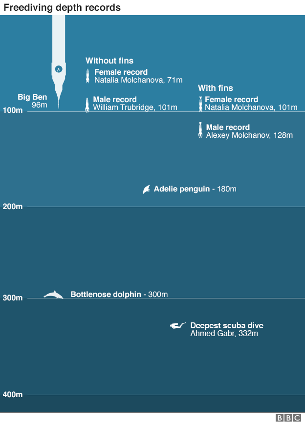 Graphic: free-diving compariso