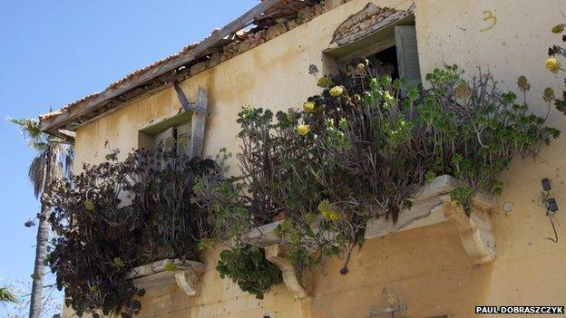 Overgrown window boxes