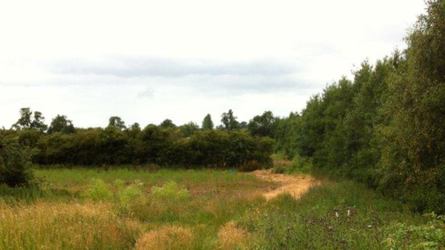 Fields and trees at Farndon Fields