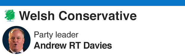 Welsh Conservative