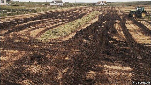 Damaged ground in Caithness farm