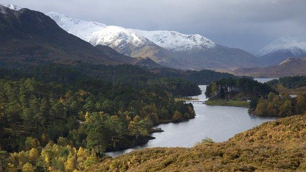 Re-wilding Caledonia uplands