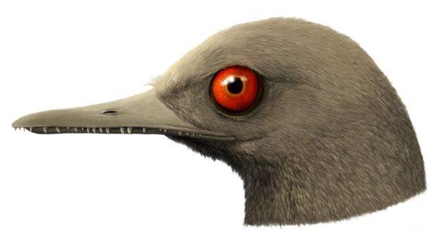 Artists-impression-of-the-dinosaurs-head.