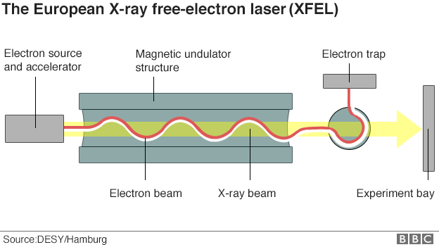 Schematic of XFEL