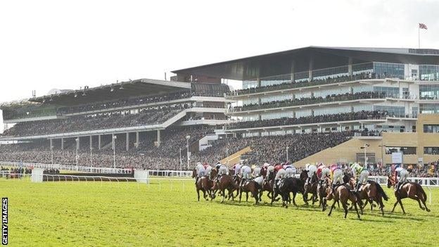 Runners at the 2020 Cheltenham Festival