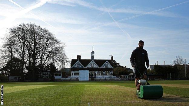 Cricket groundsman