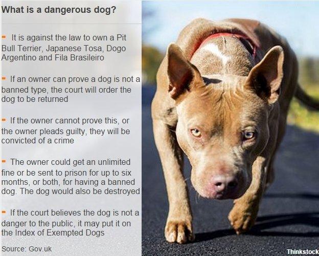 Dangerous Dog