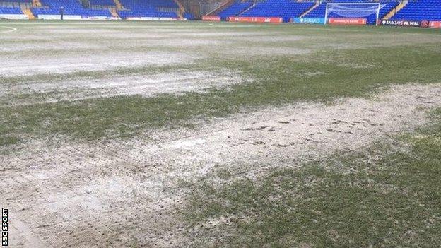 The pitch at Prenton Park