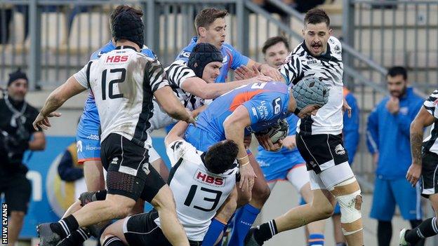 Zebre rugby v Scarlets