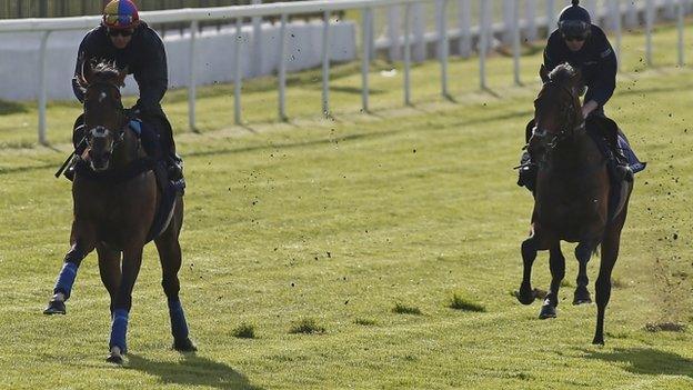 Cracksman at Epsom