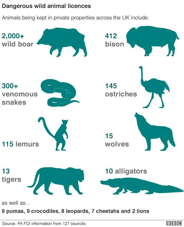 Dangerous wild animal licences graphic