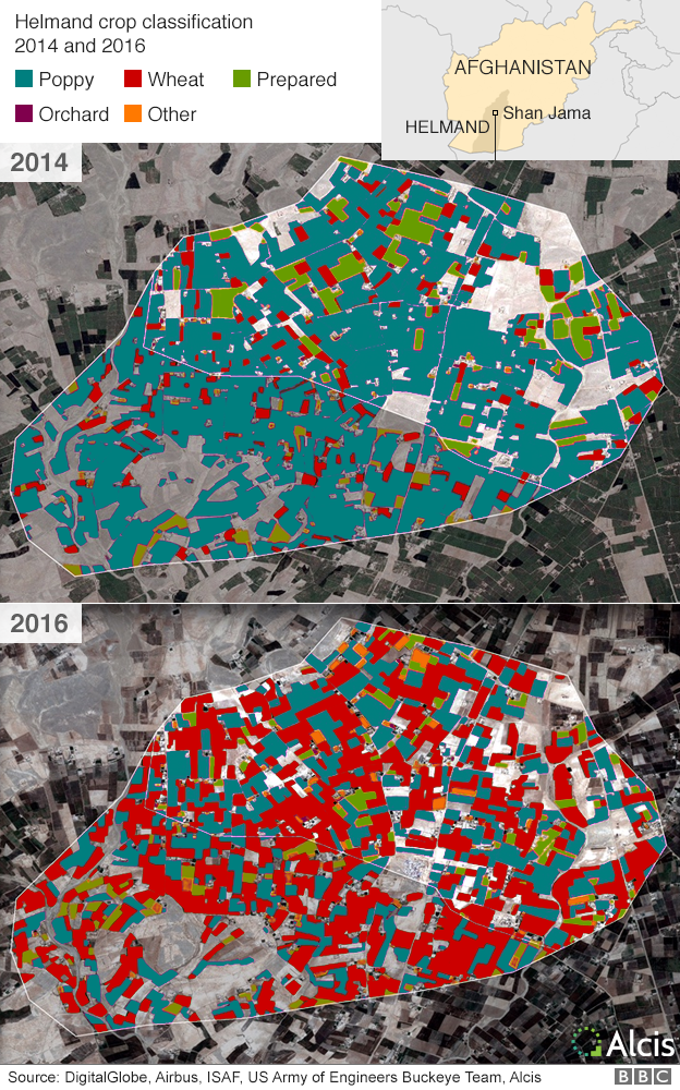 Helmand poppy production