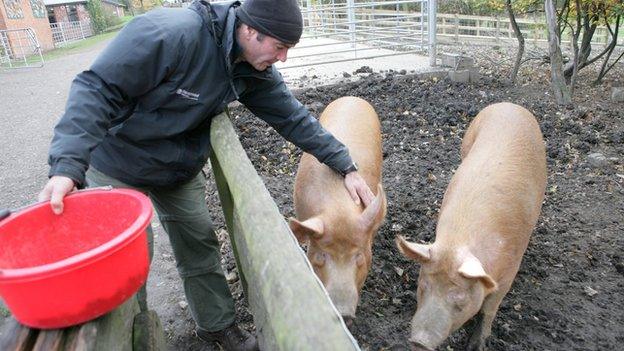 Bill Quay Community Farm