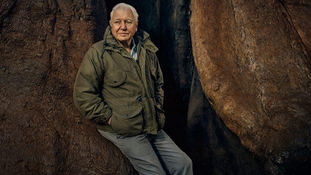 Sir-David-Attenborough.