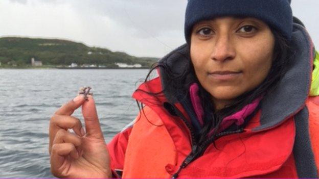 Liz Pothanikat said the presence of maerl is an indicator that the water quality off Rathlin is good