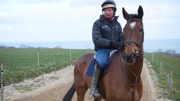 Teaforthree on the gallops at his Pembrokeshire home