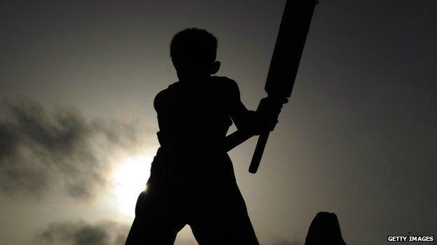 Cricket