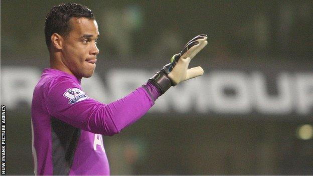 Michel Vorm in action for Swansea