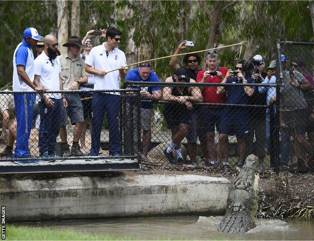 Alastair Cook and Moeen Ali feed a crocodile on their tour down under