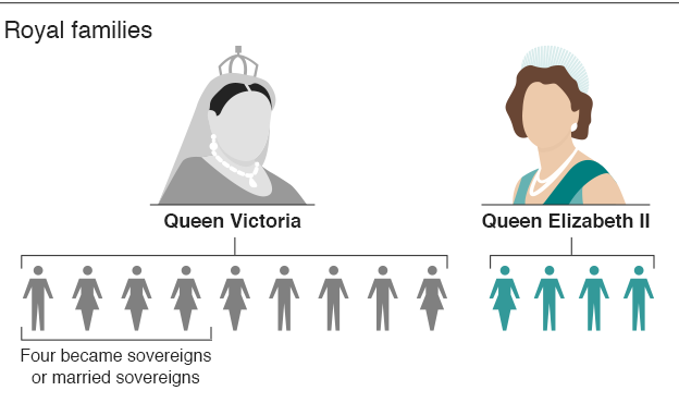 Graphic shows family trees