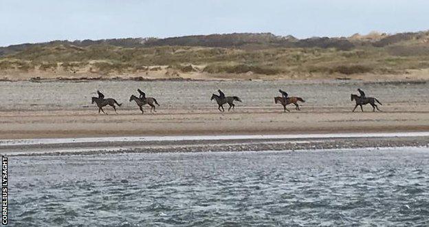 Horses training by the sea