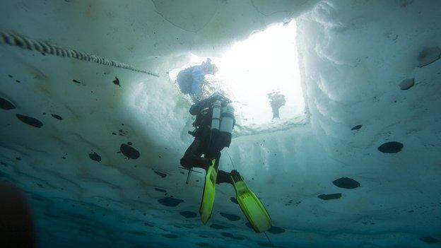 A diver rises to the surface underneath the ice