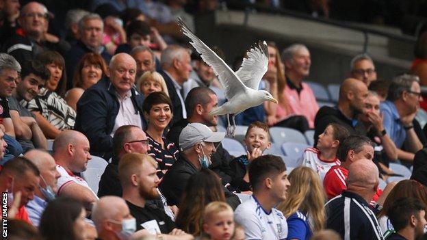 Crowds have been able to return to Croke Park in meaningful numbers in recent weeks