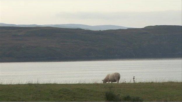 Sgìre-chroitearachd