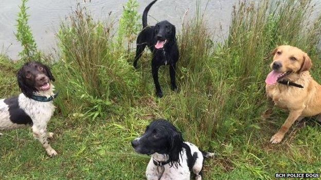 Police sniffer dogs near lake