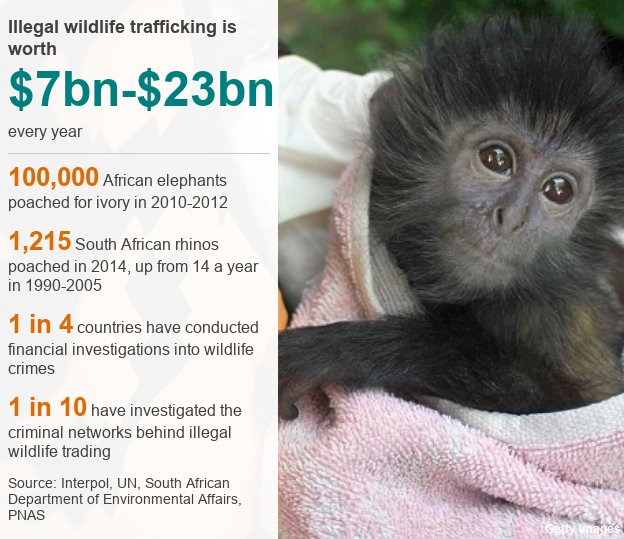 Illegal wildlife trafficking statistics