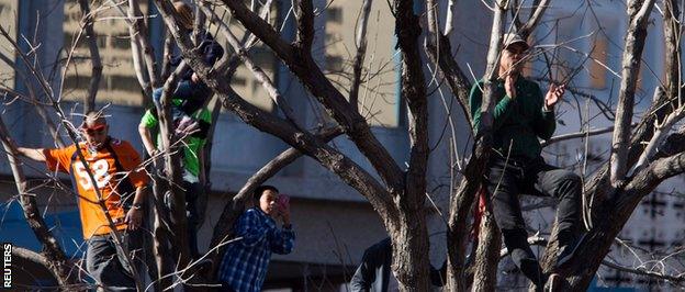 Holly Holm fans climb a tree