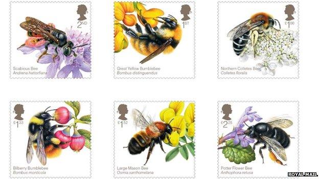 The stamps feature bees from across the UK