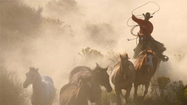 Amser cinio yn Llambed