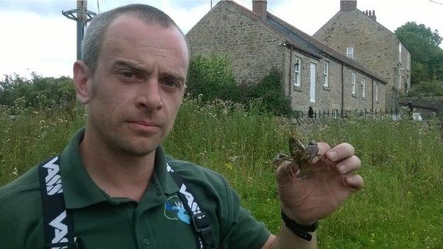 Steve Hudson holding an American signal crayfish