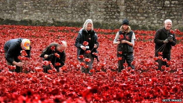 A group of volunteers remove poppies from the moat