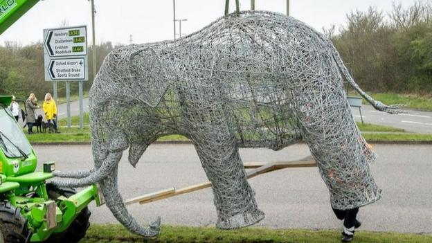 Kidlington: Knitted Rosie elephants honour Oxford Zoo icon - BBC News