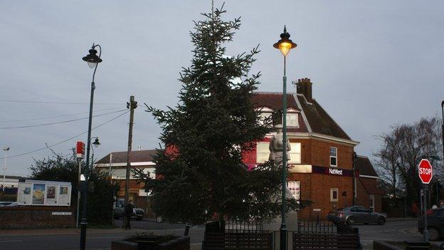 Christmas Tree in Kent